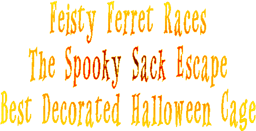 Feisty Ferret Races
The Spooky Sack Escape
Best Decorated Halloween Cage
